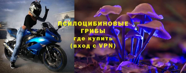 бошки Беломорск