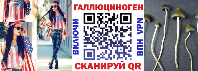 Псилоцибиновые грибы мухоморы  продажа наркотиков  Демидов 